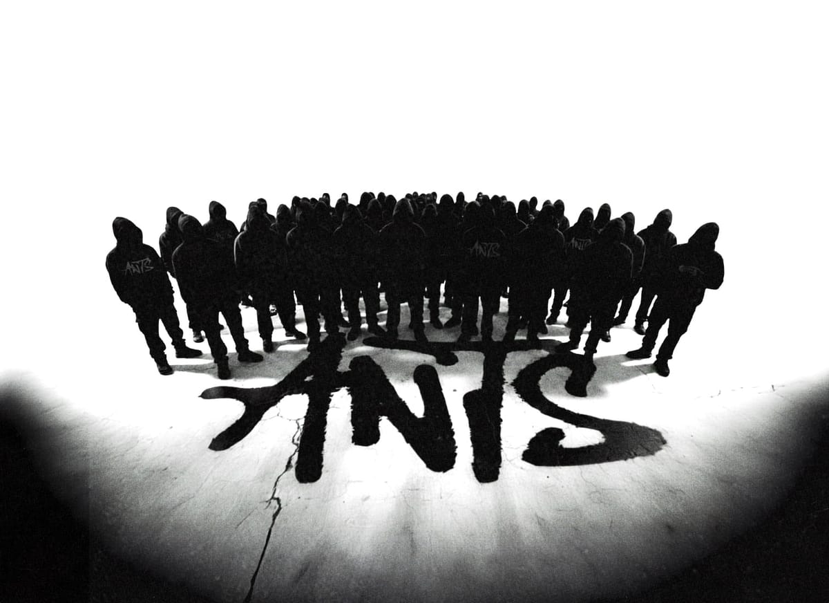 ANTS reactiva la colonia: identidad, comunidad y música