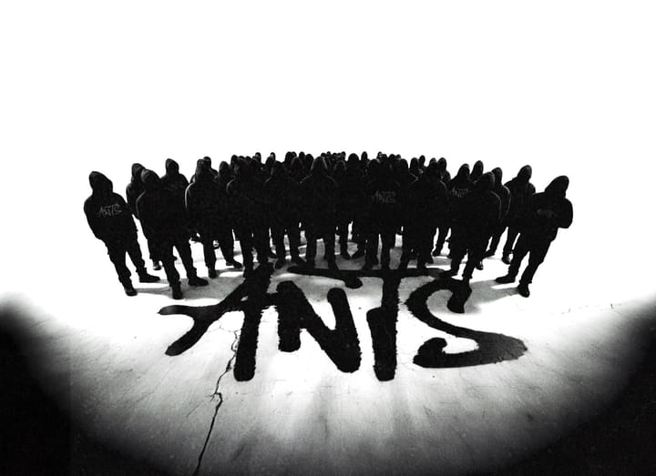 ANTS reactiva la colonia: identidad, comunidad y música